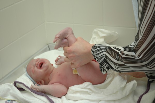 Click for the original image