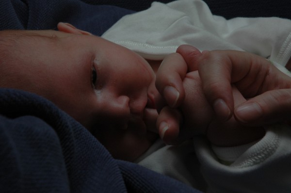 Click for the original image