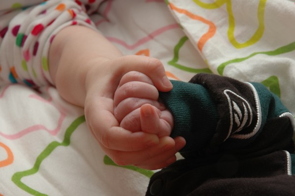 Click for the original image