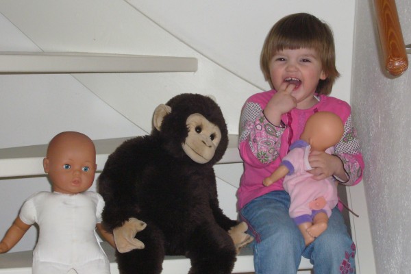 Click for the original image