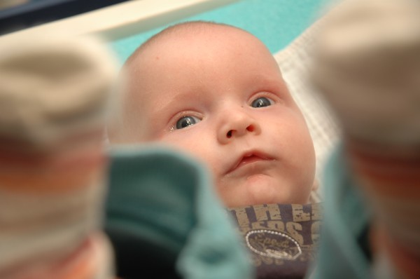 Click for the original image