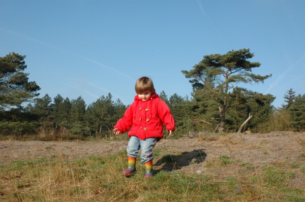 Click for the original image