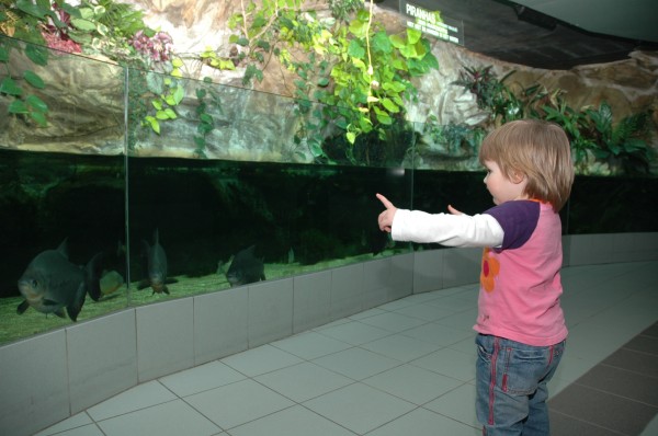 Click for the original image