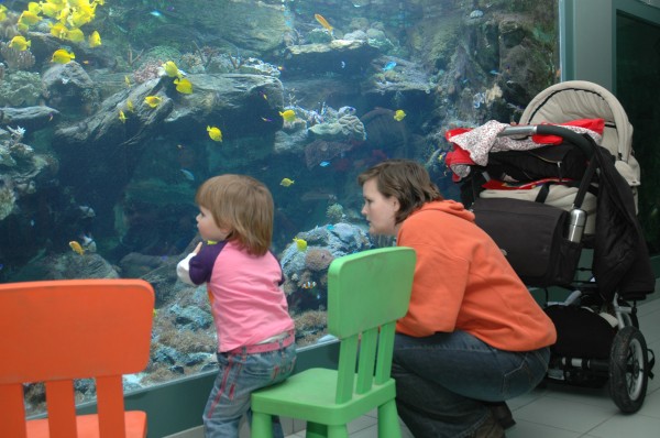 Click for the original image