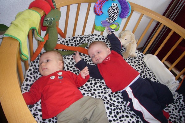 Click for the original image