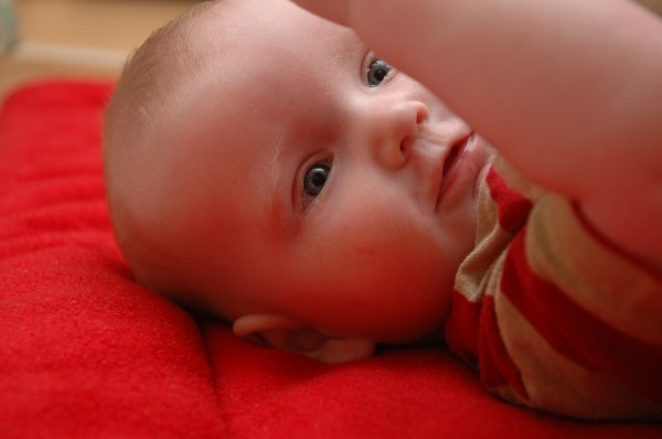 Click for the original image