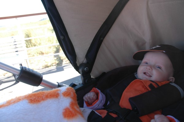 Click for the original image