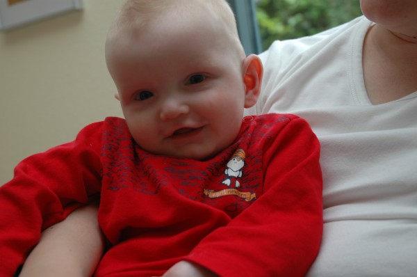 Click for the original image