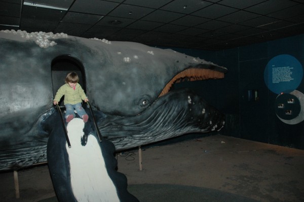 Click for the original image