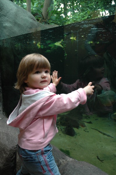 Click for the original image