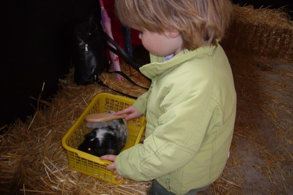 Click for the original image