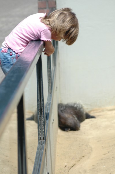 Click for the original image