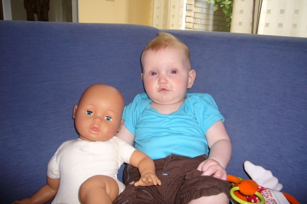 Click for the original image