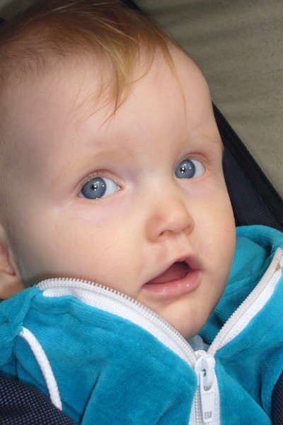 Click for the original image