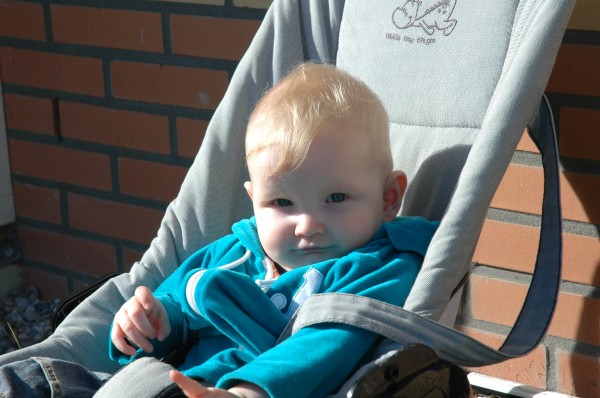 Click for the original image