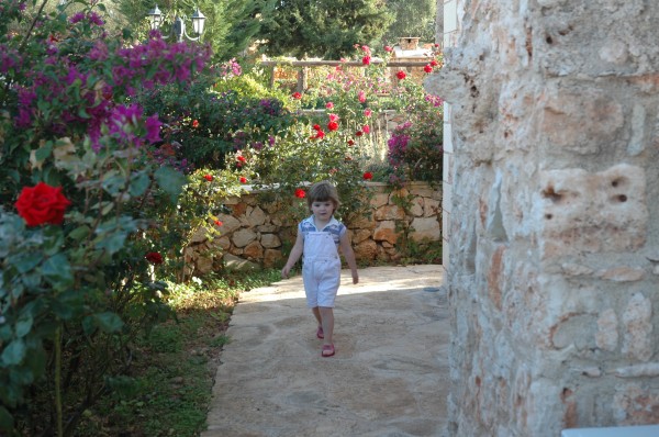 Click for the original image