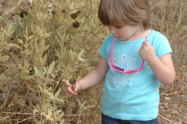 Click for the original image