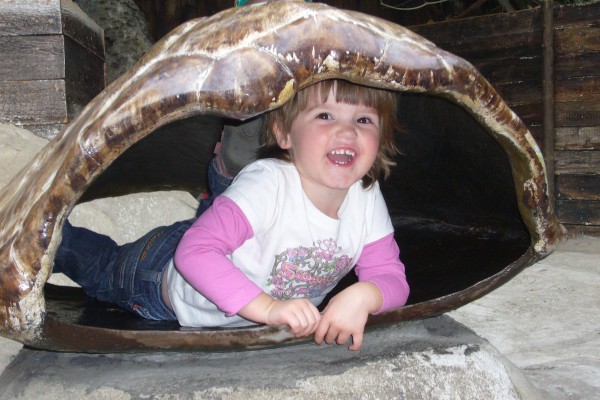 Click for the original image