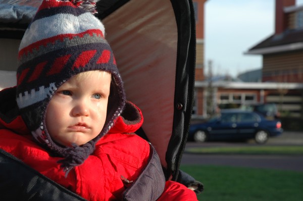 Click for the original image