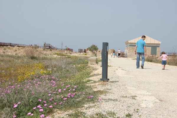 Click for the original image