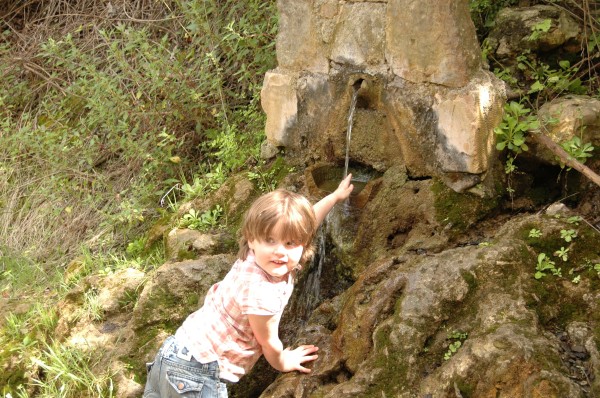 Click for the original image