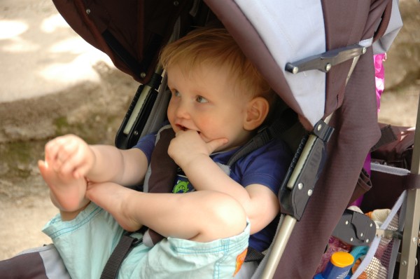 Click for the original image