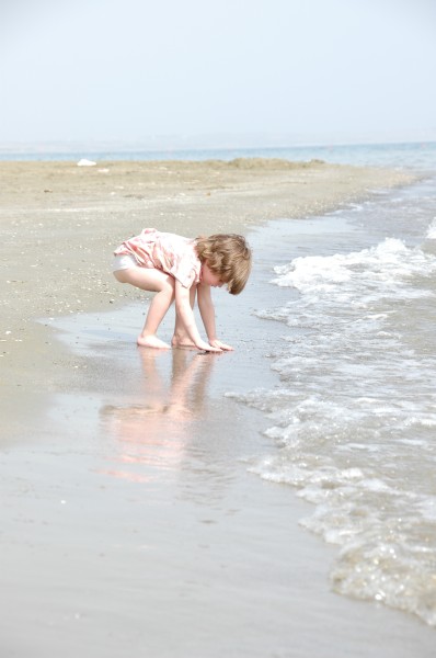 Click for the original image