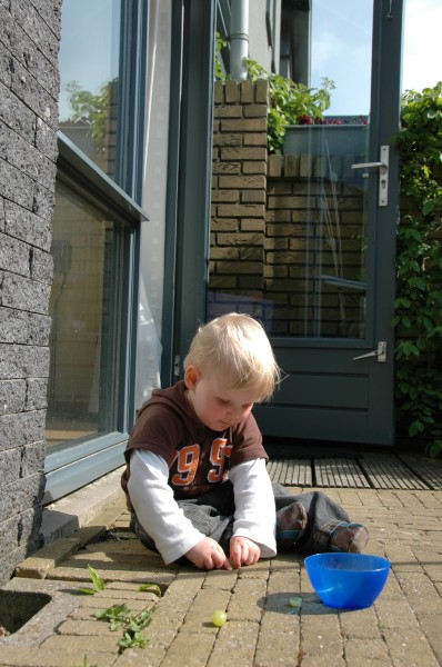 Click for the original image