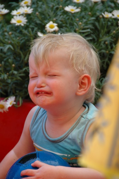 Click for the original image