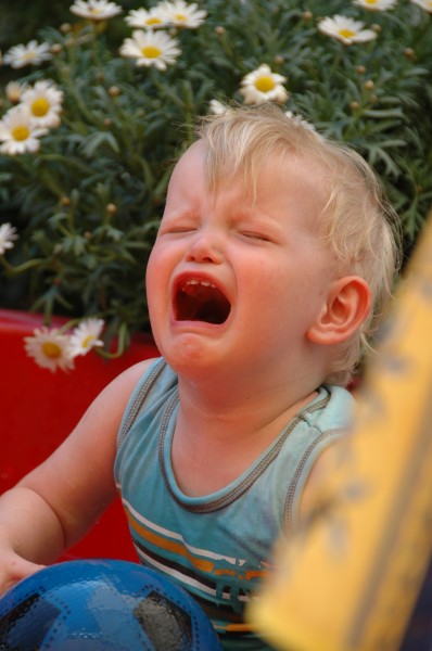 Click for the original image