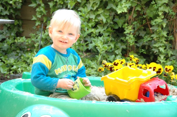 Click for the original image