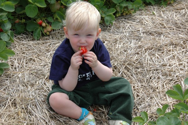 Click for the original image