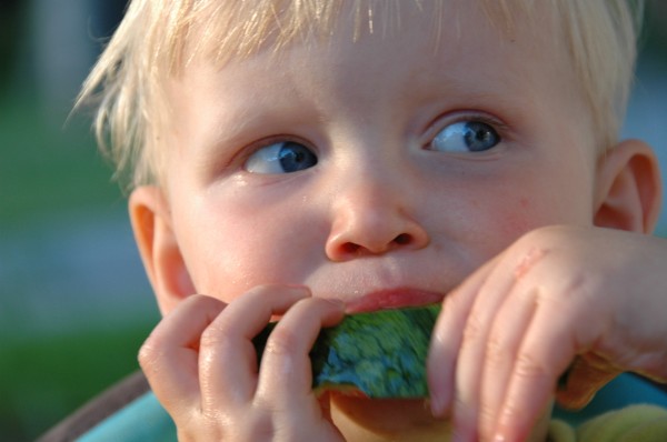 Click for the original image