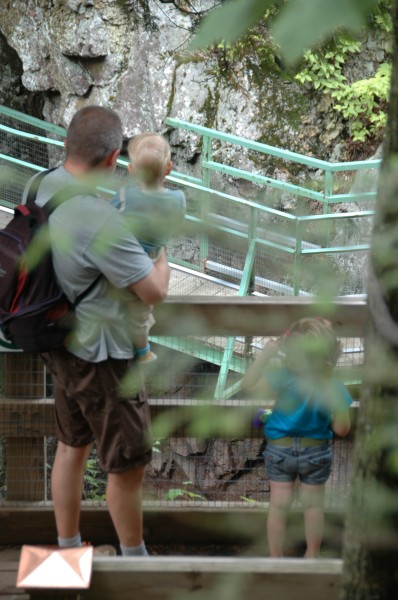 Click for the original image