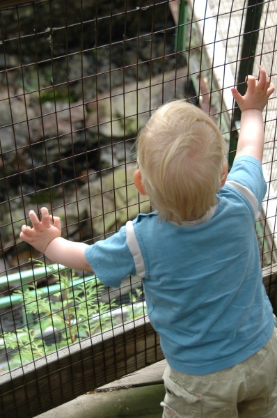 Click for the original image