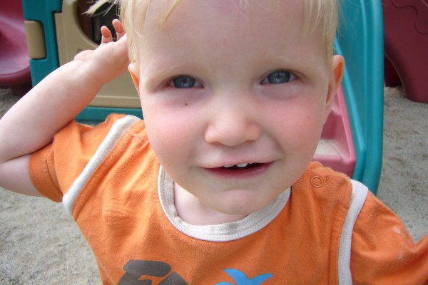 Click for the original image