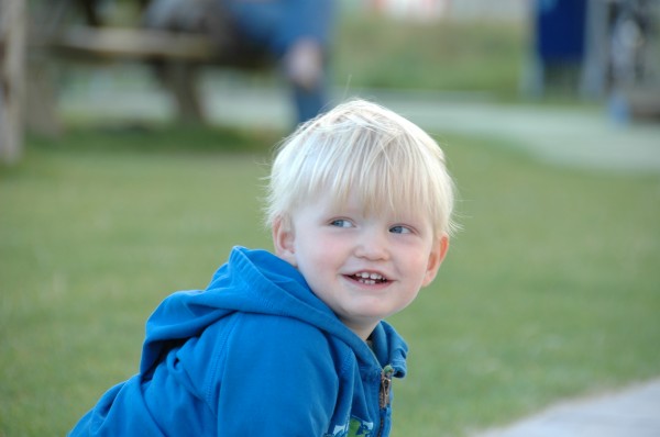 Click for the original image