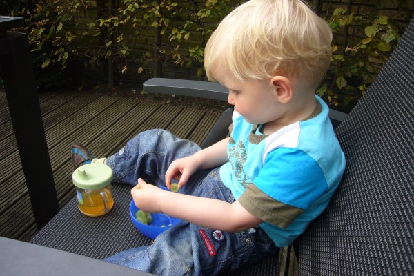 Click for the original image