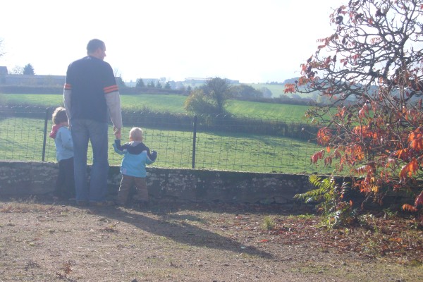 Click for the original image