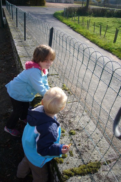 Click for the original image