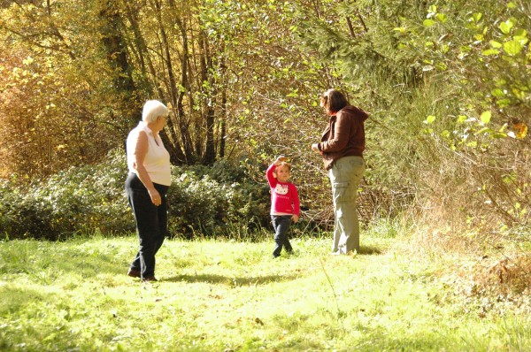 Click for the original image