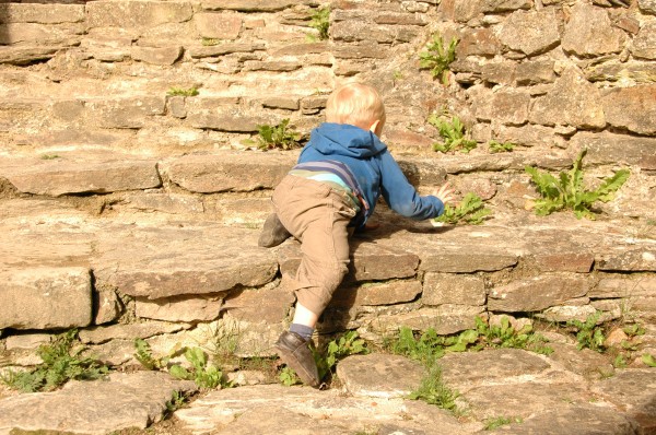 Click for the original image