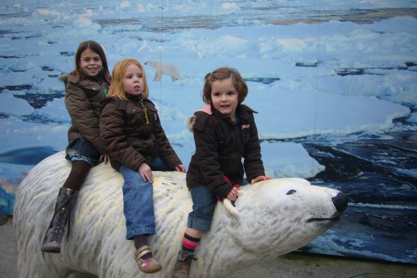 Click for the original image