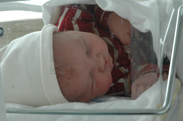 Click for the original image