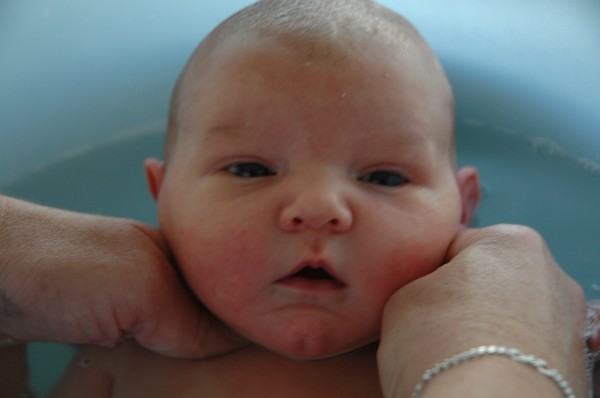 Click for the original image