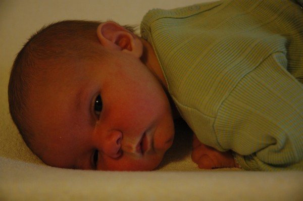 Click for the original image