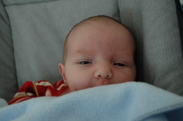 Click for the original image