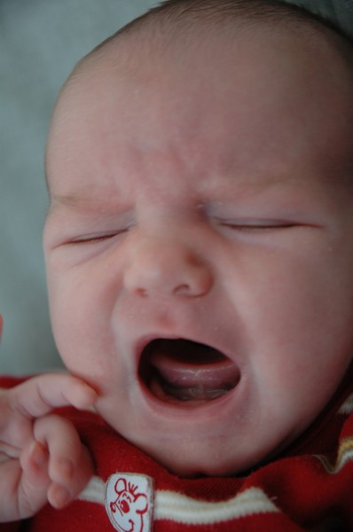 Click for the original image