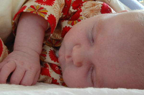 Click for the original image