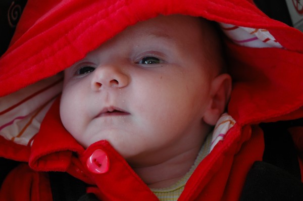 Click for the original image